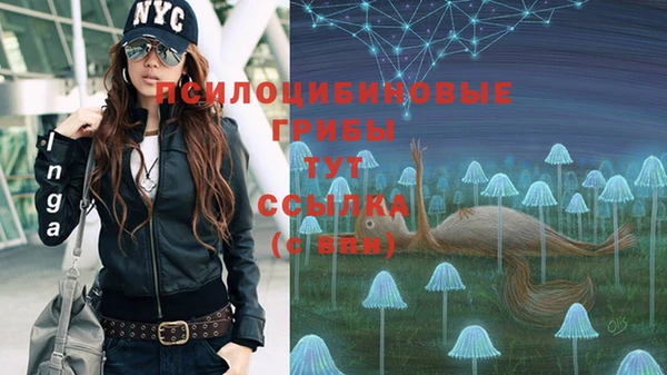 соль курить ск Алексеевка