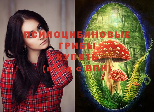 соль курить ск Алексеевка