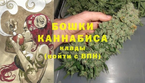 шишки Алексин