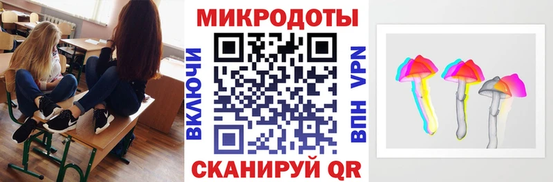 Галлюциногенные грибы Psilocybe Бирюч