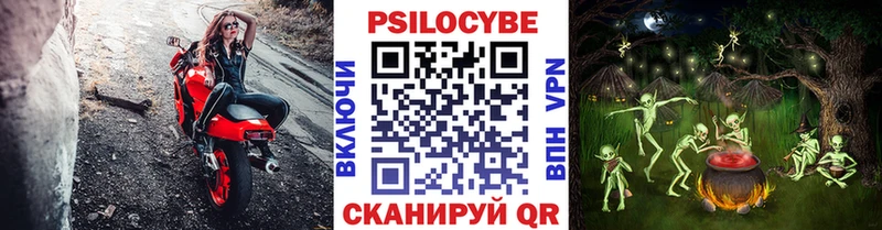 Псилоцибиновые грибы Cubensis  Бирюч 